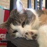 Olivia profil fotoğrafı