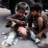 Profilbild von इग्नोरेमस