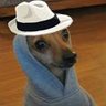 mau's profile picture