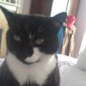 stefano52's profile picture