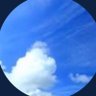 風のつぶやき ♪'s profile picture
