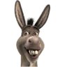 Alvaro's profile picture