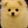 Profilbild von DJ