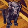Profilbild von Monty725
