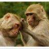 Changoconpiojos profil fotoğrafı