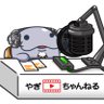 Profilbild von やぎなまず