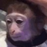 Profilbild von Ali