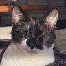 Profilbild von sopo