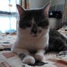 Profilbild von satomi e