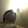 namesch's profile picture