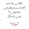 Фото профиля behzad