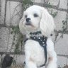 Profilbild von Jay Brown
