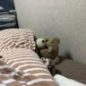 ねこネズミ's profile picture