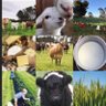 Profilbild von Protect Australia’s FOOD and FIBRE Security