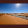 ناقي بن حمدان's profile picture