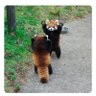 kimmie profil fotoğrafı