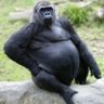 Ria Blanke Vrouw profil fotoğrafı