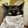 Quarantine Qat 的头像