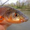₿ürgergeld ₿illionaire profil fotoğrafı