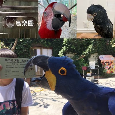 torino_asobiba's profile picture
