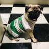 Bronx Bhoy profil fotoğrafı