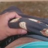 Unknown Islander 的头像