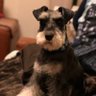 Profilbild von Marcos
