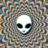 Don Shiva's profile picture