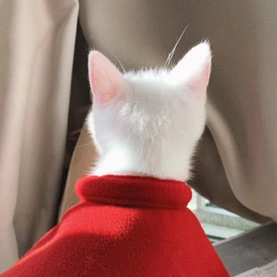 Freaky🧼's profile picture