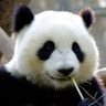 长亭 的头像