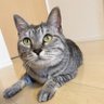 Profilbild von fureia