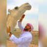 طلال الزبني's profile picture