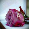Profilbild von هيبه بدوي