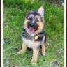 Profilbild von Emax