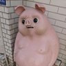 グラ好き日記🌷 profil fotoğrafı