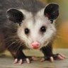 Profilbild von Karen Burton