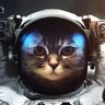 🥥🌴 Space__cat's profile picture