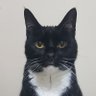 Profilbild von Nuka