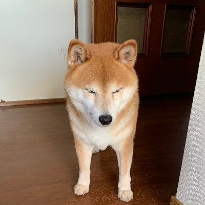 MMT倪éð¶æ¥ã»ç±³ãªã©å
é²åœã®èªåœé貚建ãŠåœåµã®ããã©ã«ãã¯èããããªãã's profile picture