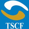 Фото профиля THE SOCIAL CAPITAL FOUNDATION (TSCF)