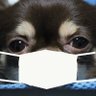 三田尻💉💉💉💉💉's profile picture