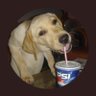 Profilbild von Crentist