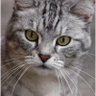 Louise profil fotoğrafı