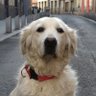 carry leon profil fotoğrafı