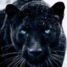 Profilbild von Black_zeus