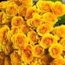 Фото профиля نوره