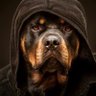 Фото профиля POR LA RAZÓN O LA FUERZA