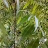 Фото профиля فهد عبدالعزيز الوشيل