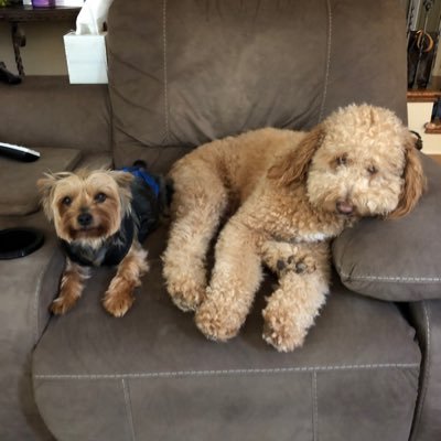 Mike Swanson's profile picture