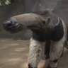 Wittemuizen's profile picture